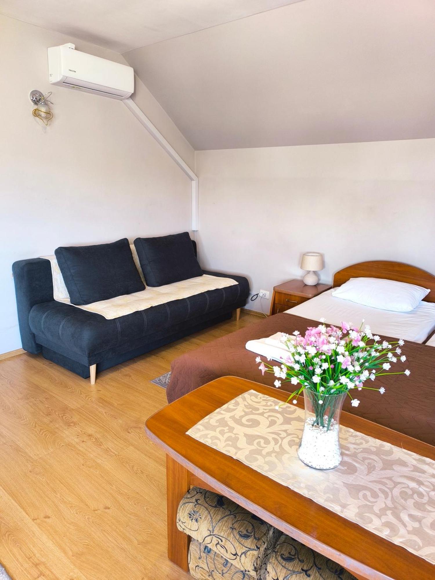 Hotel Delfin 무카체베 객실 사진